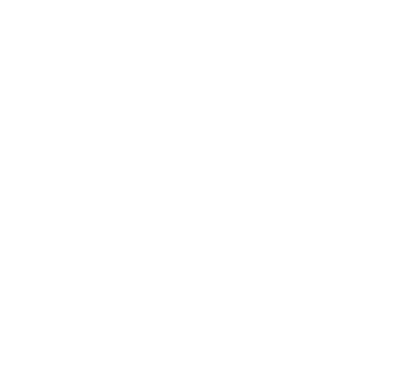 CHAMI